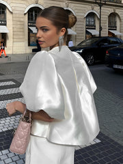 Aşırı Büyük Puf Kollu Bluz